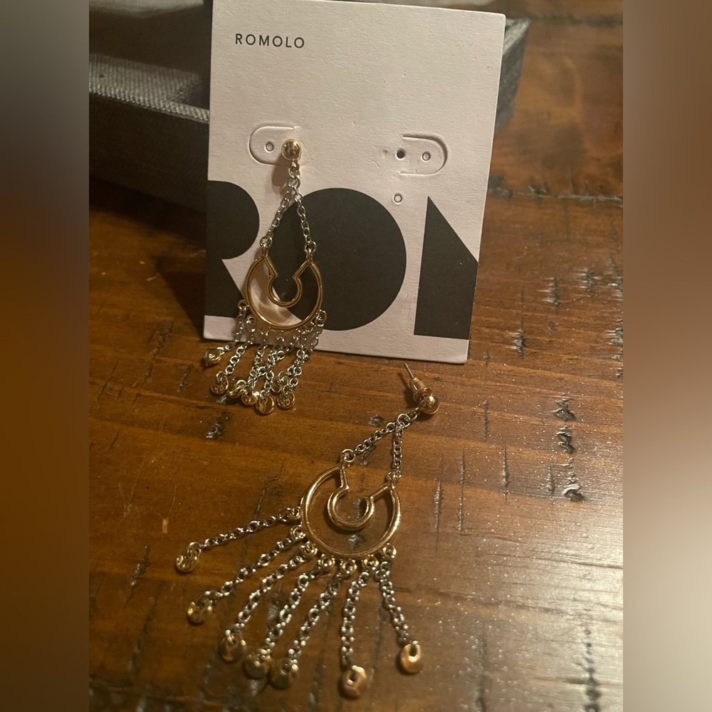 Romolo Silver and Gold Earrings